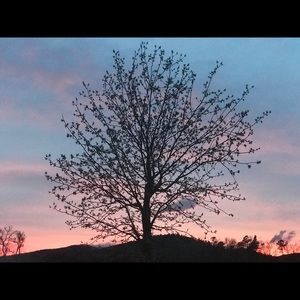 Meet your Posher, Shelley